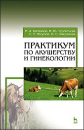 book Практикум по акушерству и гинекологии: учебное пособие