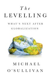 book The levelling: what's next after globalization