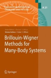 book Brillouin-Wigner methods for many-body systems