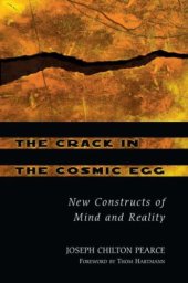 book The crack in the cosmic egg: challenging constructs of mind & reality