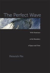 book The perfect wave: with neutrinos at the boundary of space and time