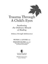 book Trauma Through a Child's Eyes