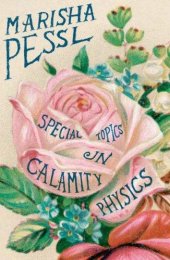 book Special Topics in Calamity Physics