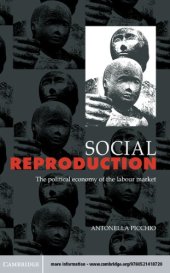 book Social reproduction: the political economy of labour market