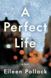 book A Perfect Life