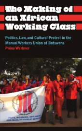 book The Making of an African Working Class: Politics