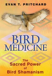 book Bird medicine: the sacred power of bird shamanism