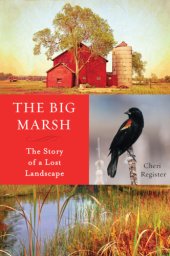 book The Big Marsh: the story of a lost landscape