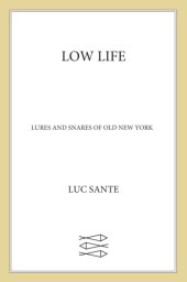 book Low life: lures and snares of old New York