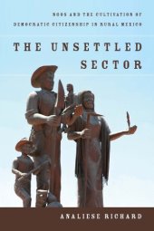 book The unsettled sector: NGOs and the cultivation of democratic citizenship in rural Mexico