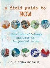 book A Field Guide to Now: Notes on Mindfulness and Life in the Present Tense