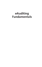 book Eauditing fundamentals: virtual communication and remote auditing