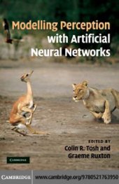 book Modelling perception with artificial neural networks