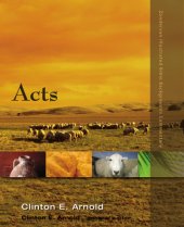 book Acts: Zondervan Exegetical commentary on the New Testament