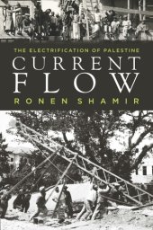 book Current flow: the electrification of Palestine