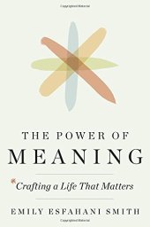 book The power of meaning: crafting a life that matters