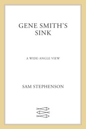 book Gene Smith's sink: a wide-angle view