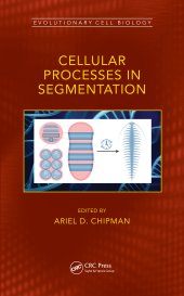 book Cellular Processes in Segmentation