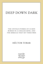 book Deep Down Dark: The Untold Stories of 33 Men Buried in a Chilean Mine, and the Miracle That Set Them Free