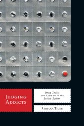 book Judging addicts: drug courts and coercion in the justice system