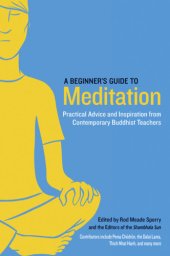 book A Beginner's Guide to Meditation: Practical Advice and Inspiration From Contemporary Buddhist Teachers