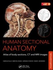 book Human Sectional Anatomy: Atlas of Body Sections, CT and MRI Images, Fourth Edition