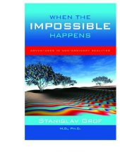 book When the impossible happens: adventures in non-ordinary realities