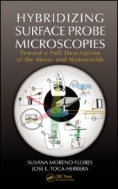 book Hybridizing Surface Probe Microscopies: Toward a Full Description of the Meso- and Nanoworlds