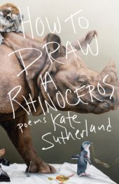 book How to draw a rhinoceros: poems