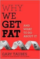 book Why We Get Fat: And What to Do About It