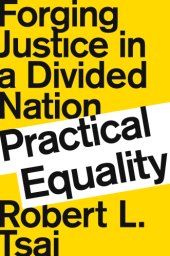 book Practical equality: forging justice in a divided nation