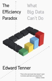 book The efficiency paradox: what's big data can't do