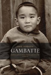 book Gambatte: generations of perseverance and politics: a memoir