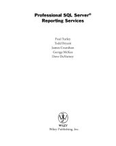 book Professional SQL Server reporting services