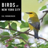 book Birds of New York City