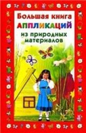 book Большая книга аппликаций из природных материалов