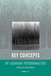 book Key Concepts of Lacanian Psychoanalysis