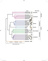 book Atlas of mammalian chromosomes