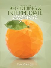 book Beginning and intermediate algebra