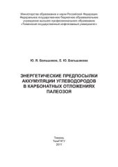 book ЭНЕРГЕТИЧЕСКИЕ ПРЕДПОСЫЛКИ АККУМУЛЯЦИИ УГЛЕВОДОРОДОВ В КАРБОНАТНЫХ ОТЛОЖЕНИЯХ ПАЛЕОЗОЯ