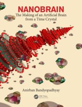 book Nanobrain: the making of an artificial brain from a time crystal