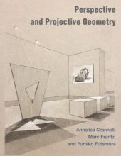 book Perspective and projective geometry