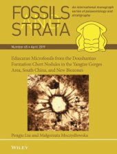 book Ediacaran microfossils from the Doushantuo Formation chert nodules in the Yangtze Gorges area, South China, and new biozones