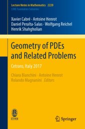 book Geometry of PDEs and related problems