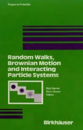 book Random walks, Brownian motion, and interacting particle systems