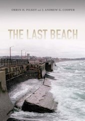 book The Last Beach