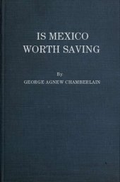 book Is Mexico worth saving