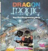 book Dragon magic : your first programming book