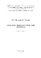 book Социально-экономический аудит персонала. Учебное пособие