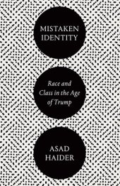 book Mistake Identity: Race and Class in the Age of Trump